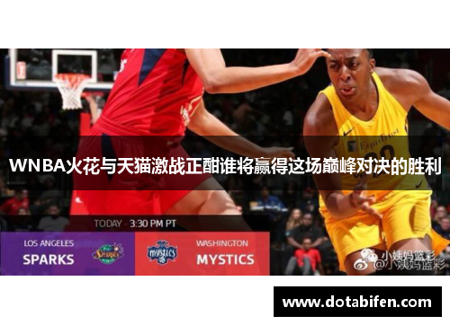 WNBA火花与天猫激战正酣谁将赢得这场巅峰对决的胜利